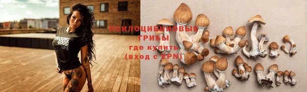 винт Белоозёрский