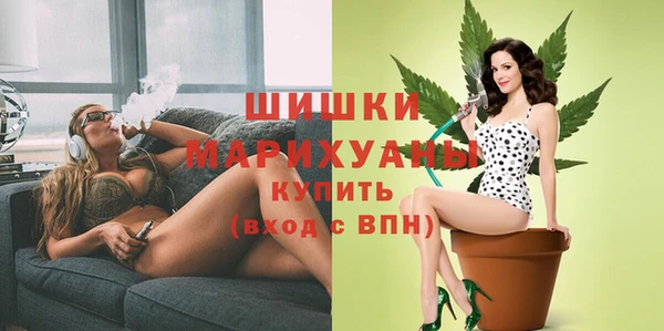 соль ск Белокуриха