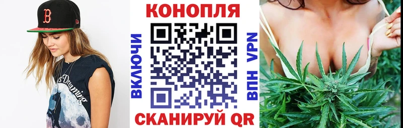 Конопля план  что такое наркотик  Мглин 